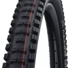 Schwalbe Big Betty Evo Super Ground 20x2,25" Addix Soft E-50 Pneus Pliants