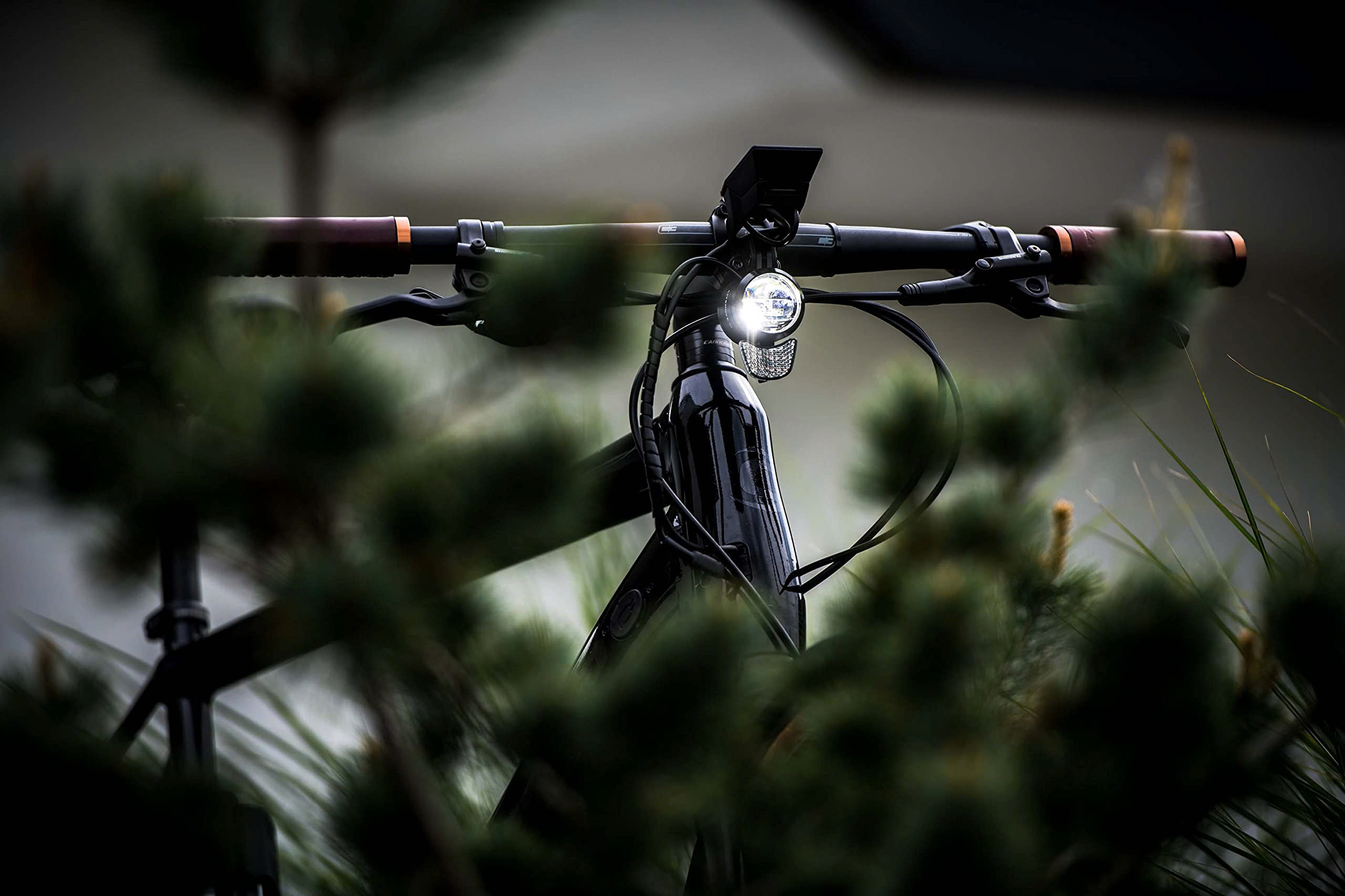 Abus Boutique -Abus Boutique z6543413802875 1742c741e9aabcf90ba1444b9294281f